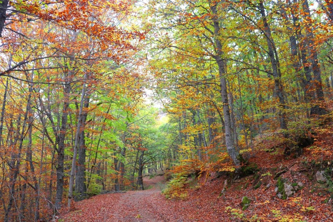 El Rincon De Golobar En Branosera Exteriér fotografie